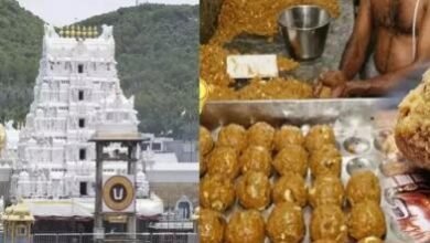 Tirupati Laddu Controversy