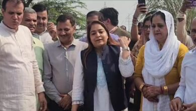 Dengue In Delhi