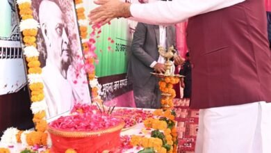 सरदार वल्लभभाई पटेल