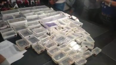 Noida Crime