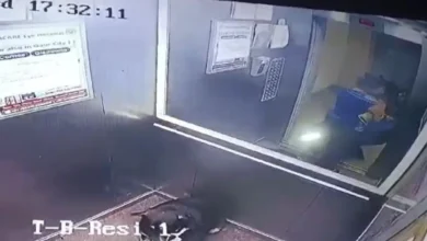 उत्तर प्रदेश, नोएडा: बच्चे को महिला ने लिफ्ट से बाहर निकलने पर बेरहमी से पीटा, वीडियो वायरल